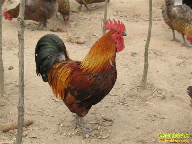 ����ϼ�ַ����������Ϻ�������ֳ��ҵ����