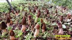 �Ĵ��ײ�Ů��ٶθ�������Ǿ�����������¸�·