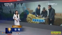 [�۽���ũ]��ֲ���ķ����£�������ɶ��׬Ǯ