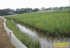 ������������Ϻ������ С��Ϻ���ֵ������