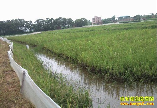 ������������Ϻ������ С��Ϻ���ֵ������