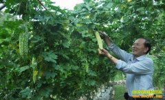 ����ɳ�����źӴ�ũ���ֲ�ѧ�ʶ�