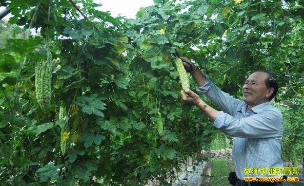 ����ɳ�����źӴ�ũ���ֲ�ѧ�ʶ�