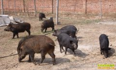 [ÿ��ũ��]��������������