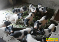 ����ͩ��������ֳС�����߳��¸�·