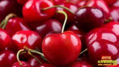 [�Ƽ�Է]�봨ӣ�� ��ʲô�ⷳ��