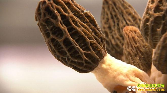 [�¸���]�ı�֣ҵ�����˵���Ǿ�