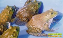 [ũ�����]�߽��������磺��Ʒ�ִ�ȫ