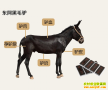 [ÿ��ũ��]��¿�����׬Ǯ ��ֳ��ë¿��׬Ǯ