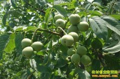 [�Ƽ�Է]�����¼��ɾ������ĵĺ��Ҳ�ҵ