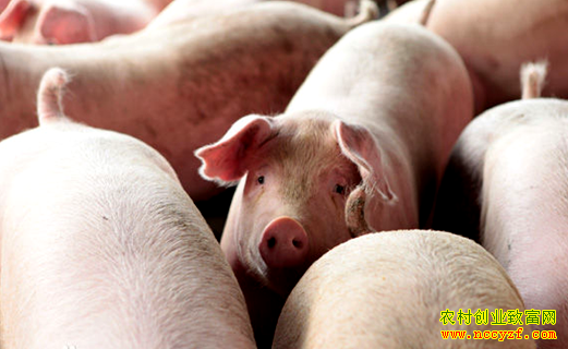 [�۽���ũ]����ܵ�������