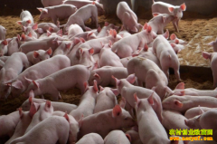 [�۽���ũ]��������֮�� ����׬Ǯ��