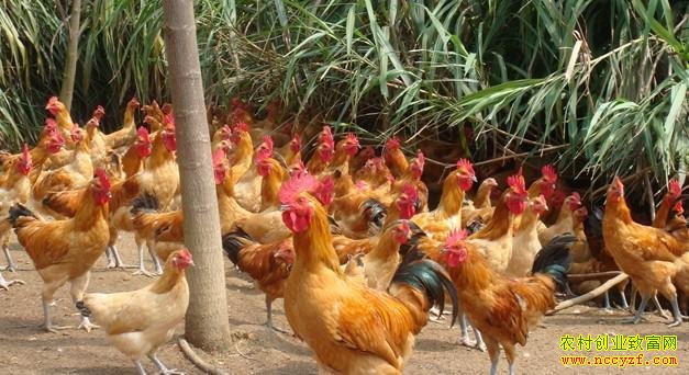 �ӱ�¬����90���ѧ����������¸�·�ӿ�