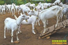 ���������뺣�������ֳ��ɽ��ҵ�¸�