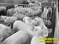 �������ؽ��ͳɱ���6������