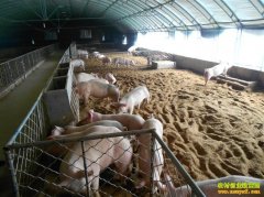 �㽭�ٺ�����������������׬20���߳��¸�·