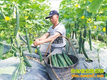 �㽭̨��֣������ֲ�����߲�����30��Ԫ