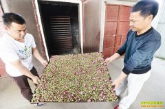 �ӱ��İ���õ�廨�ӹ���׬Ǯ