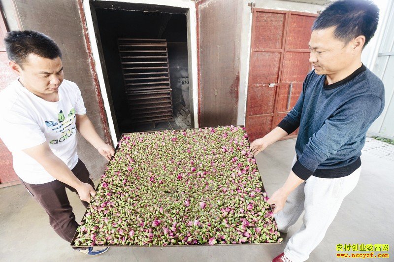 �ӱ��İ���õ�忪�����¸�����