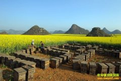 �����뽭����ǿ�����������۷���׬20��