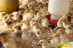 ɽ�����ա��������������ѷ������ձ����¸�