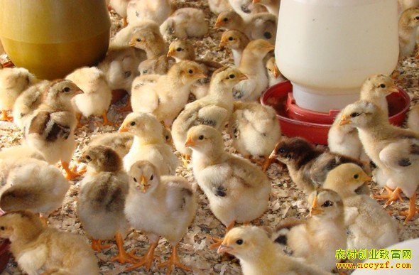 ɽ�����ա��������������ѷ������ձ����¸�