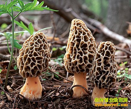 [�����е�]��Ǿ��ɾͲƸ���