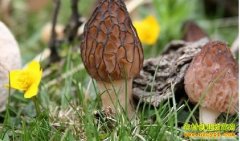 [ÿ��ũ��]���ֲ������̻������������Ǿ�