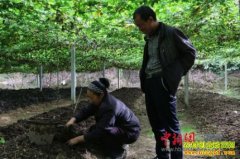 ������ʩ̷�ұ���ɽ�����Ķ׬4��Ԫ