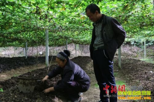 ������ʩ̷�ұ���ɽ�����Ķ׬4��Ԫ