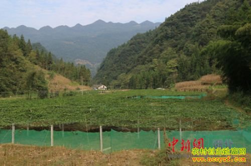 ������ʩ̷�ұ���ɽ�����Ķ׬4��Ԫ