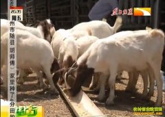 �����¸��������ֲ����� ����Э����Ǯ׬