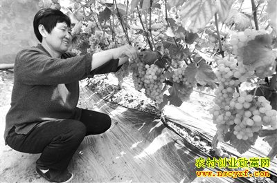 �ӱ���Ǵ�������������ũ���¸�