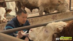 [�¸���]�Ĵ��ന�����ţţ������¥����500��Ԫ