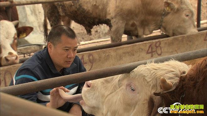 [�¸���]�Ĵ��നţ����ɻ�����ţ��ҵ����500��Ԫ