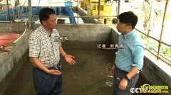 [�¸���]�㶫��ɽ���ź���ֳ̨����������׬ǧ��