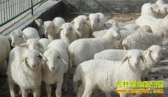 ���ֶ�������ά˳�������¸���