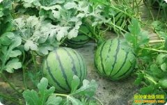 ����������׬Ǯ�� �������м۸��µ� ���ϼ۸�����