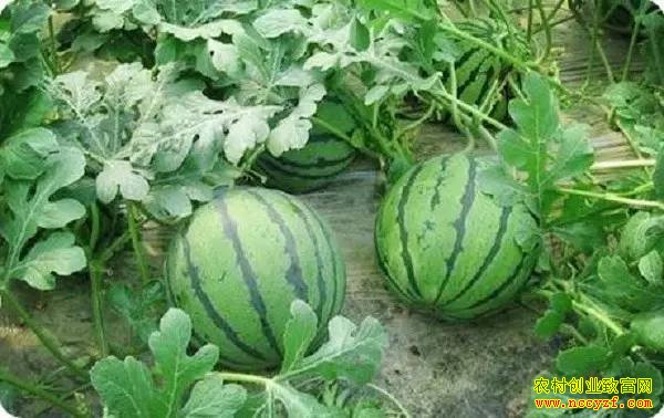 ����������׬Ǯ�� �������м۸��µ� ���ϼ۸�����