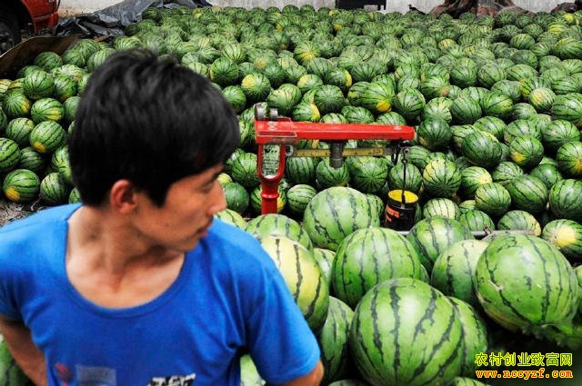 ����������׬Ǯ�� �������м۸��µ� ���ϼ۸�����