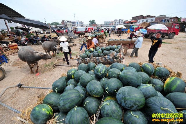 ����������׬Ǯ�� �������м۸��µ� ���ϼ۸�����