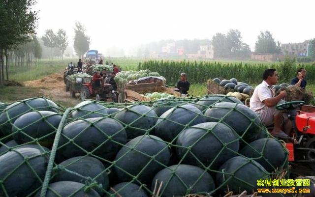 ����������׬Ǯ�� �������м۸��µ� ���ϼ۸�����