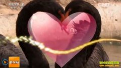 [�Ƽ�Է]���ݵĻ��£�����Ⱥ��ѧ�����ݺ�׬Ǯ