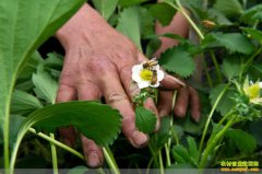 [ũ�����]��Ϊý��������ݮ�۷��ڷۼ���