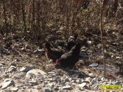 [�Ƽ�Է]�����������¾���������ڼ���׬Ǯ