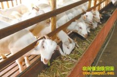 �����쳤�����ƽո�����Ч�����׬16��