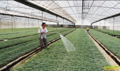 �����߲���ν�ˮ����ˮ��Ӧ��������ͬ�����в��