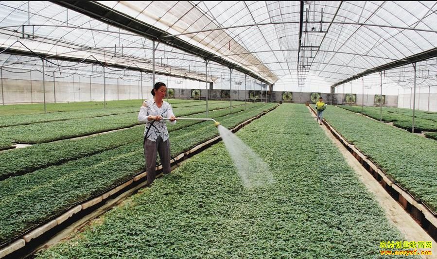 �����߲���ν�ˮ����ˮ��Ӧ��������ͬ�����в��