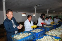 �ݵ��ӹ���Ʒ���󲻶������г�ǰ������