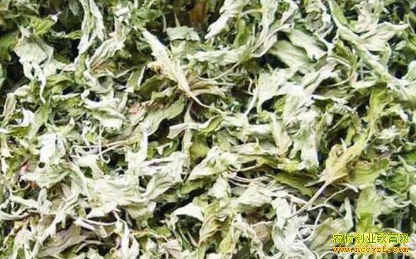 �����Ϊ�������ݼӹ��г�ǰ������